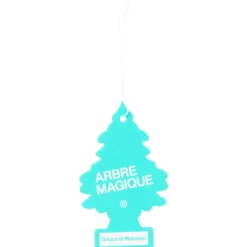 Arbre Magique Geurboom