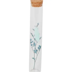 Buisje Met Droogbloemen