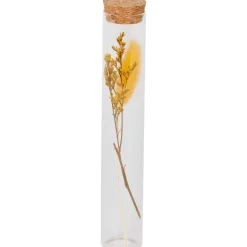 Buisje Met Droogbloemen