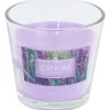 Candra Geurkaars In Glas