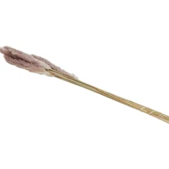Droogboeket