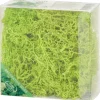 Home Accents Decoratief Mos