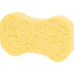 Huishoudspons