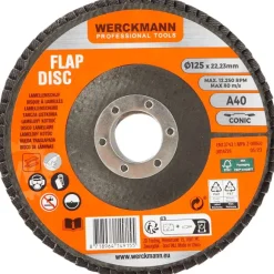 Werckmann Lamellenschijf